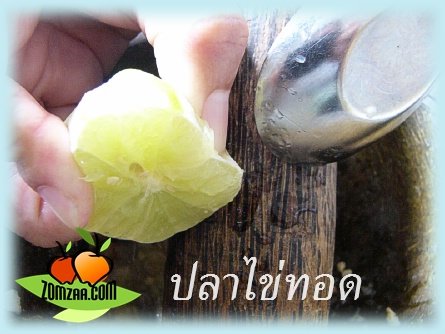 วิธีทำปลาไข่ทอด ? น้ำจิ้มรสเด็ดขั้นตอนที่ 15